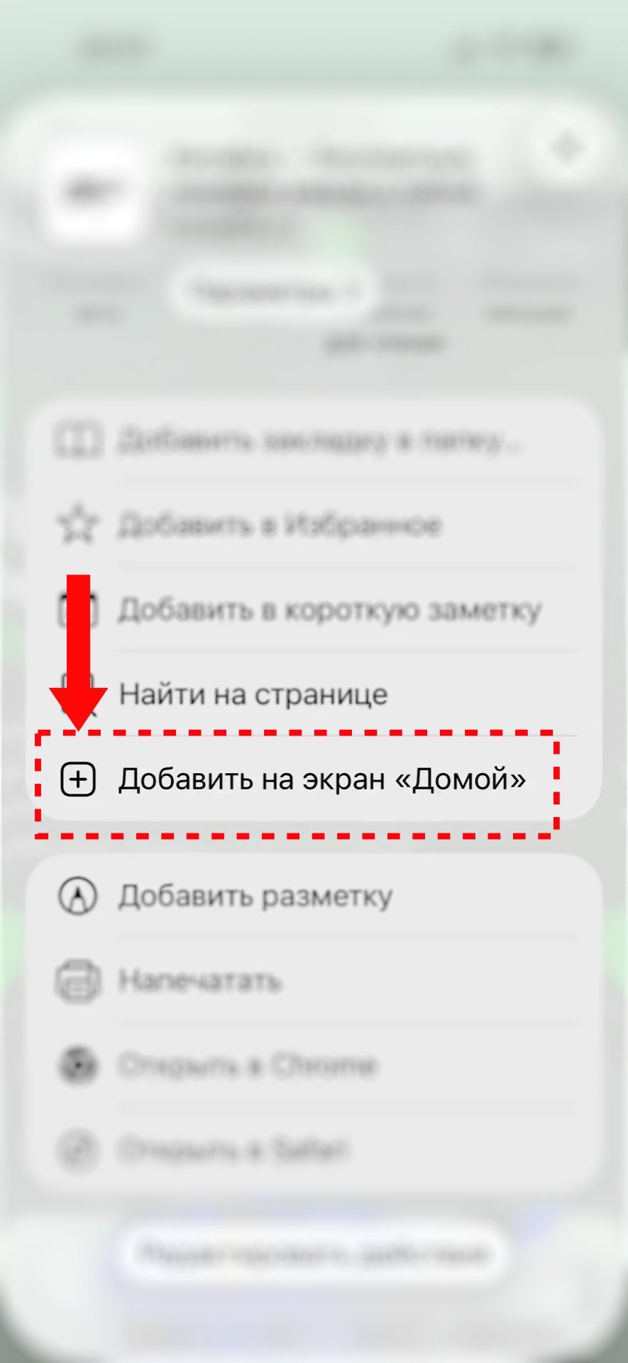 Пункт «Добавить на экран Домой»